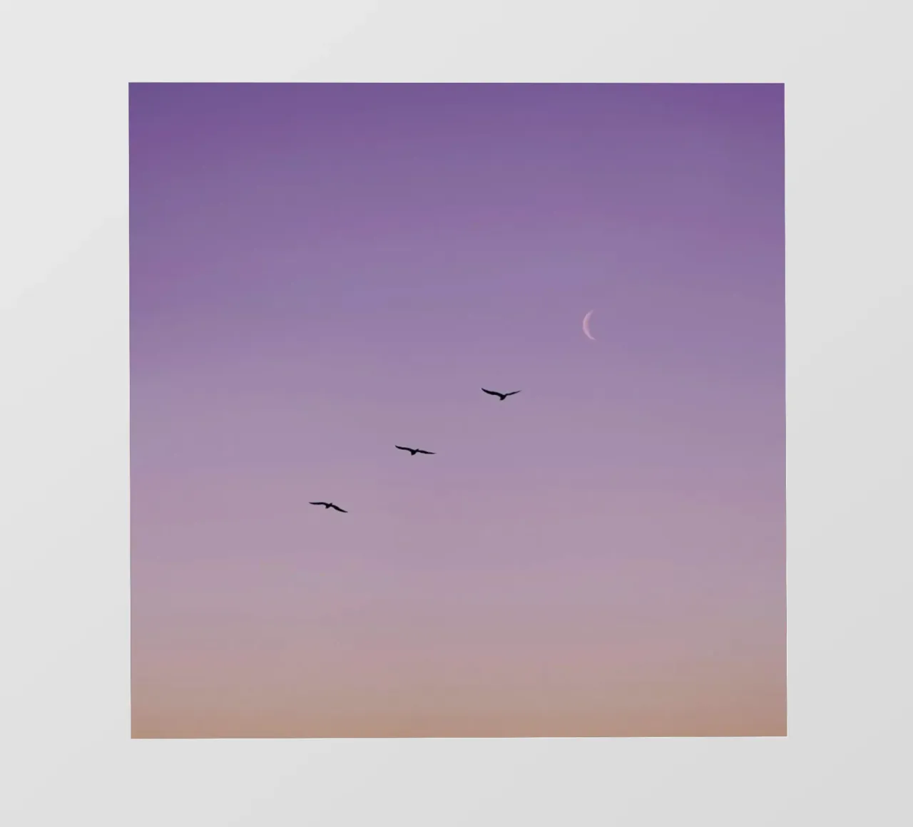 To The Moon And Back telo in pvc da Rupert Höller