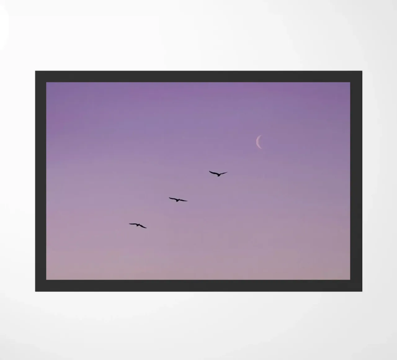 To The Moon And Back zerbino da Rupert Höller