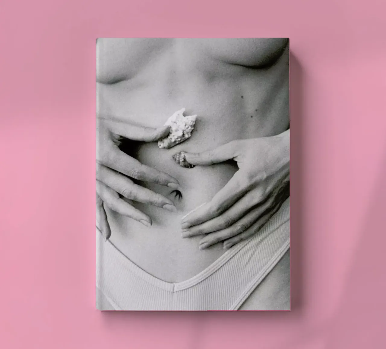 Sea Shells notebook by Chris Abatzis