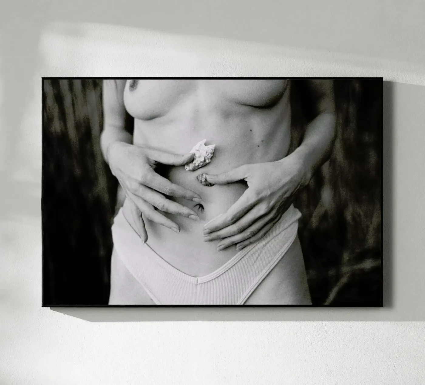 Sea Shells plexiglass da Chris Abatzis