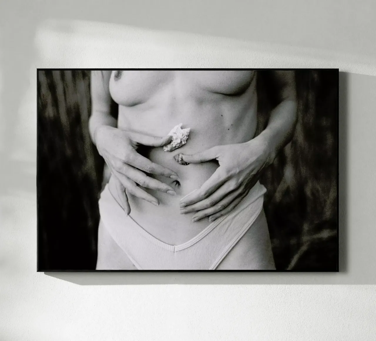 Sea Shells acryl van Chris Abatzis