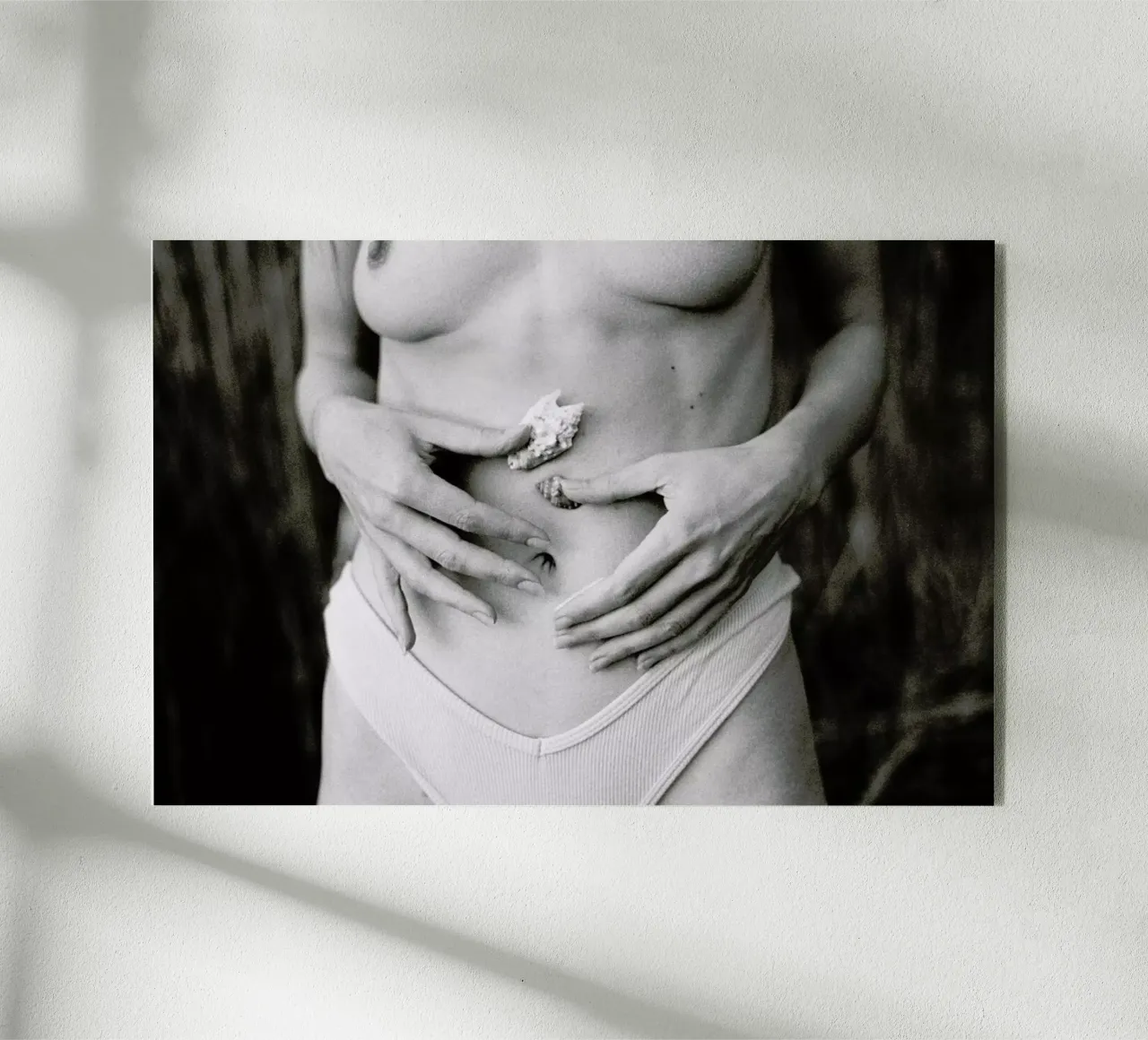 Sea Shells acryl van Chris Abatzis