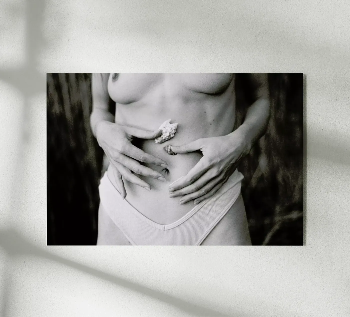 Sea Shells plexiglass da Chris Abatzis