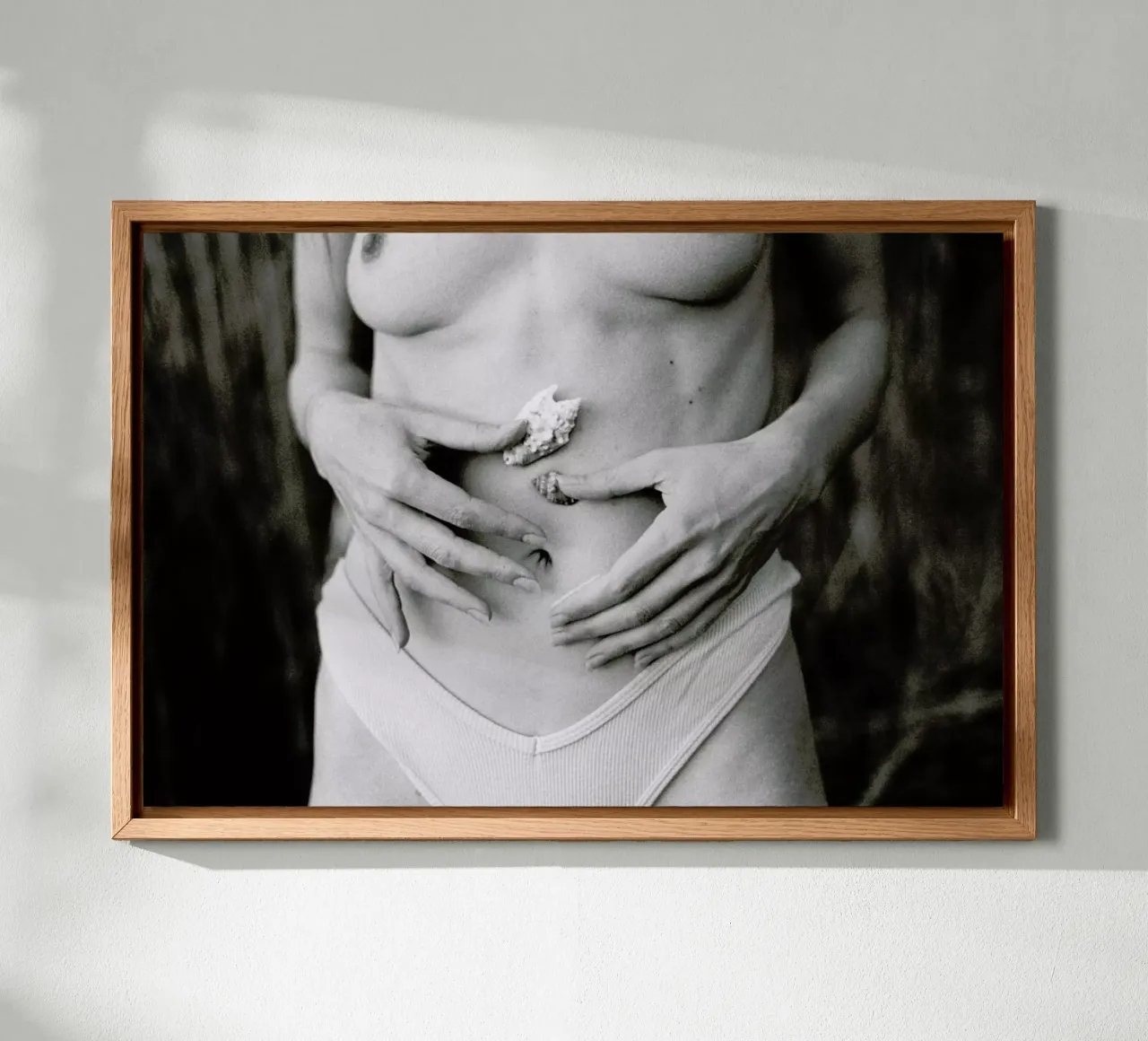 Sea Shells tela da Chris Abatzis