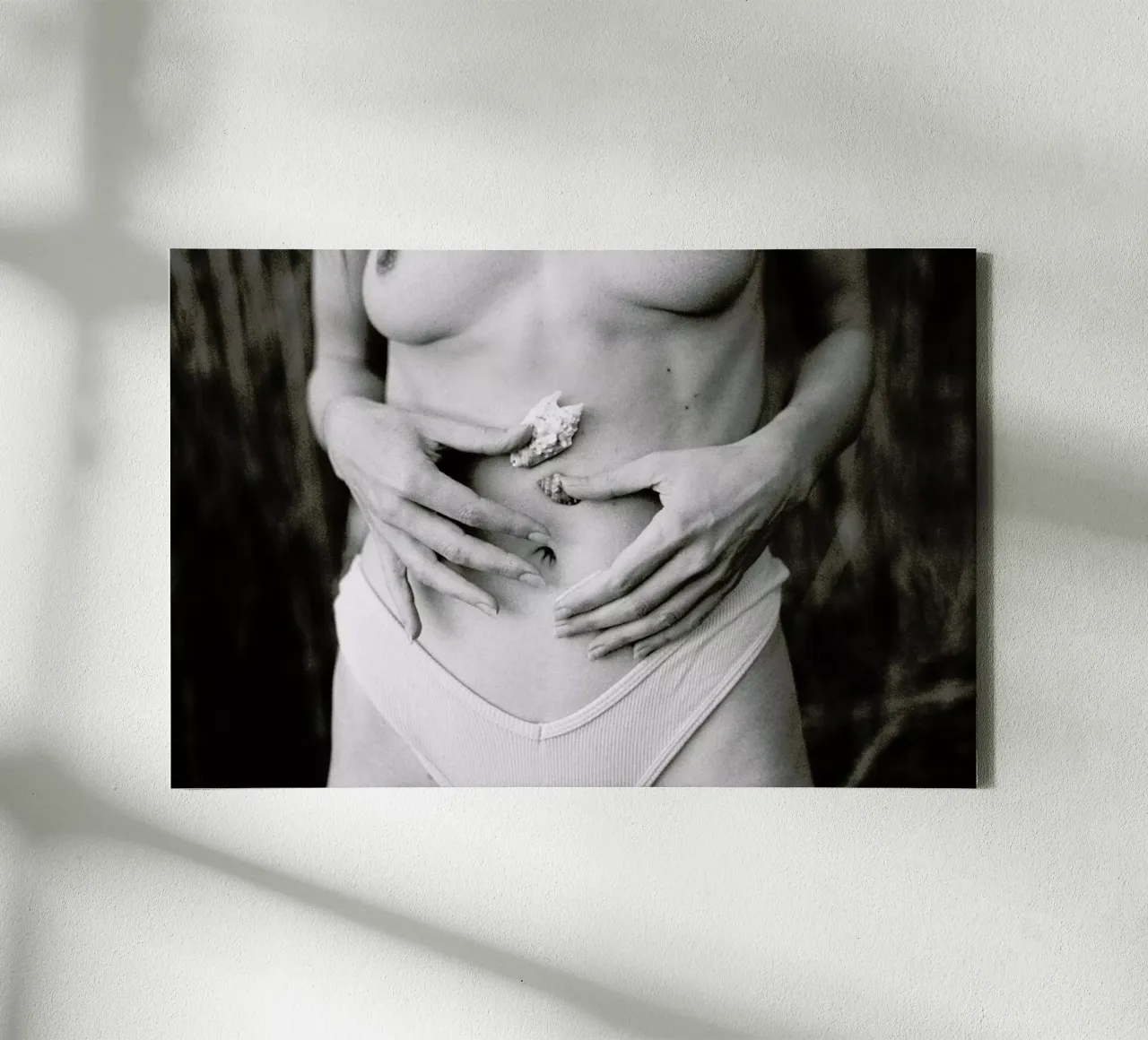 Sea Shells tela da Chris Abatzis