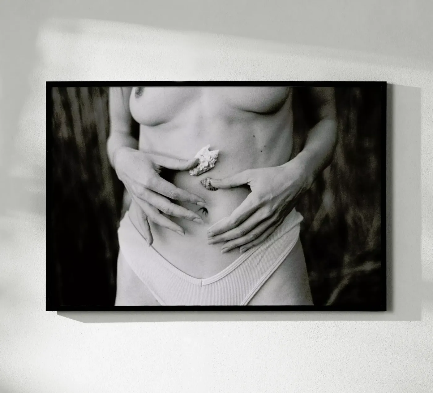 Sea Shells poster da Chris Abatzis