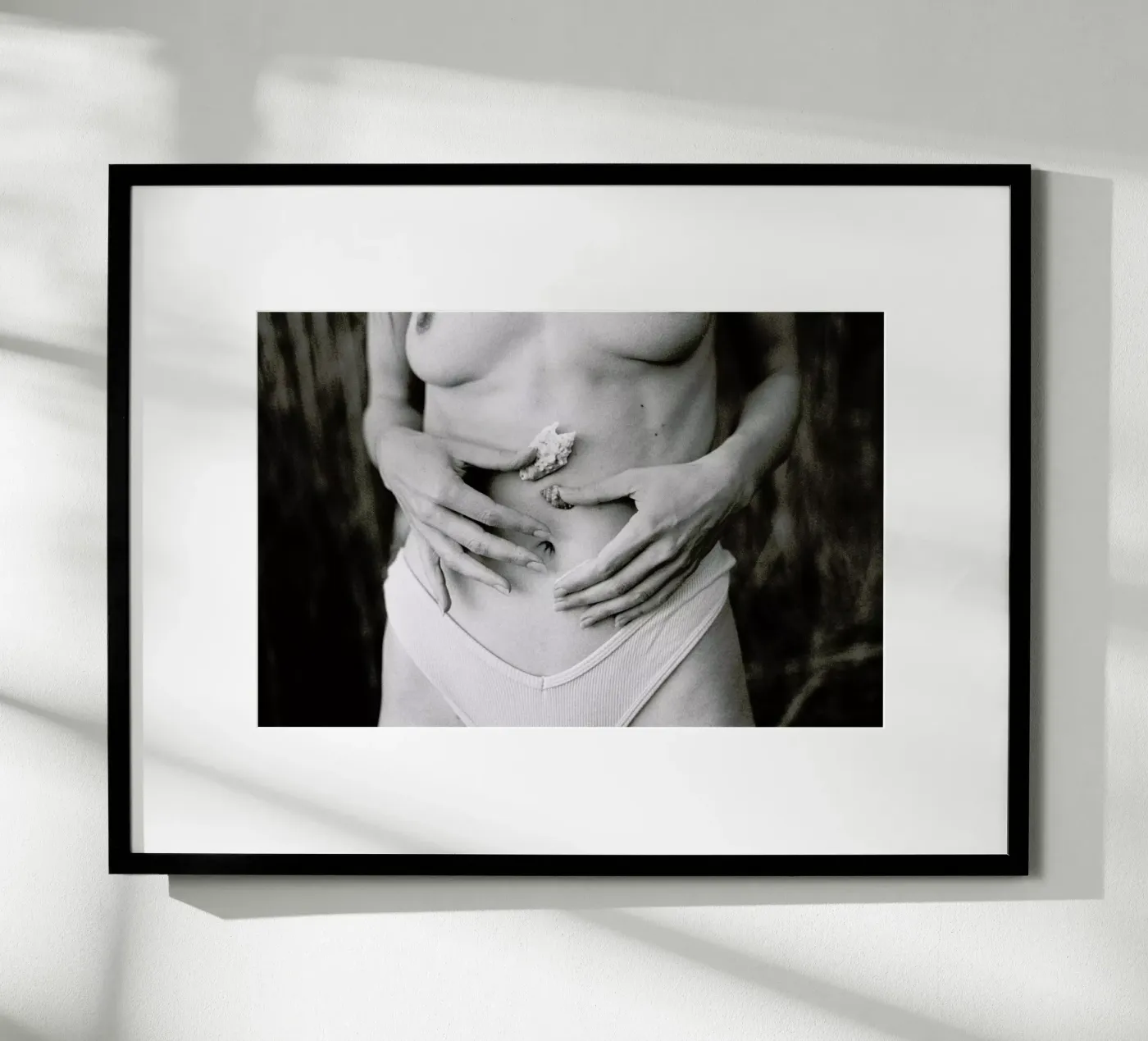 Sea Shells poster da Chris Abatzis