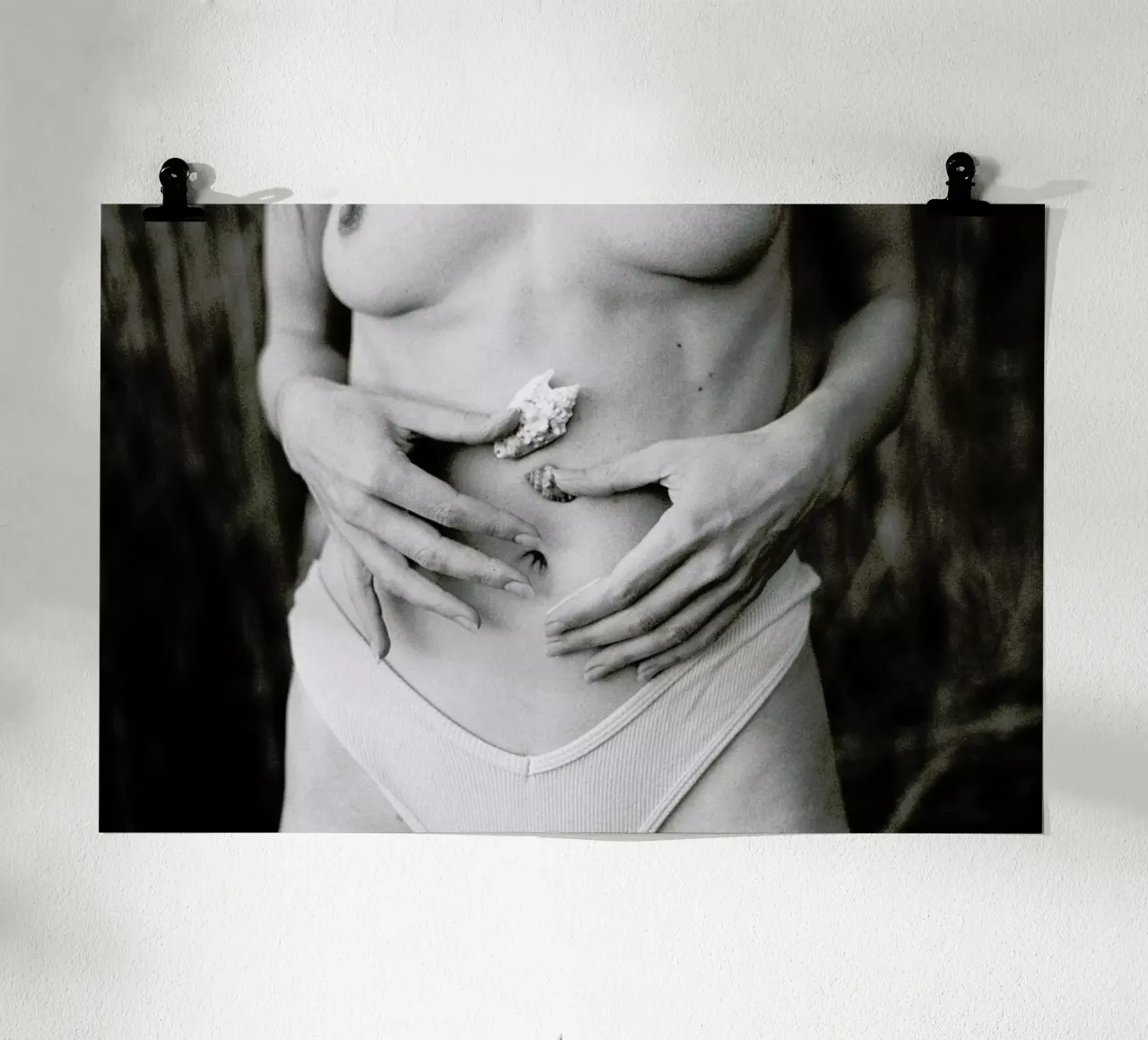 Sea Shells poster da Chris Abatzis