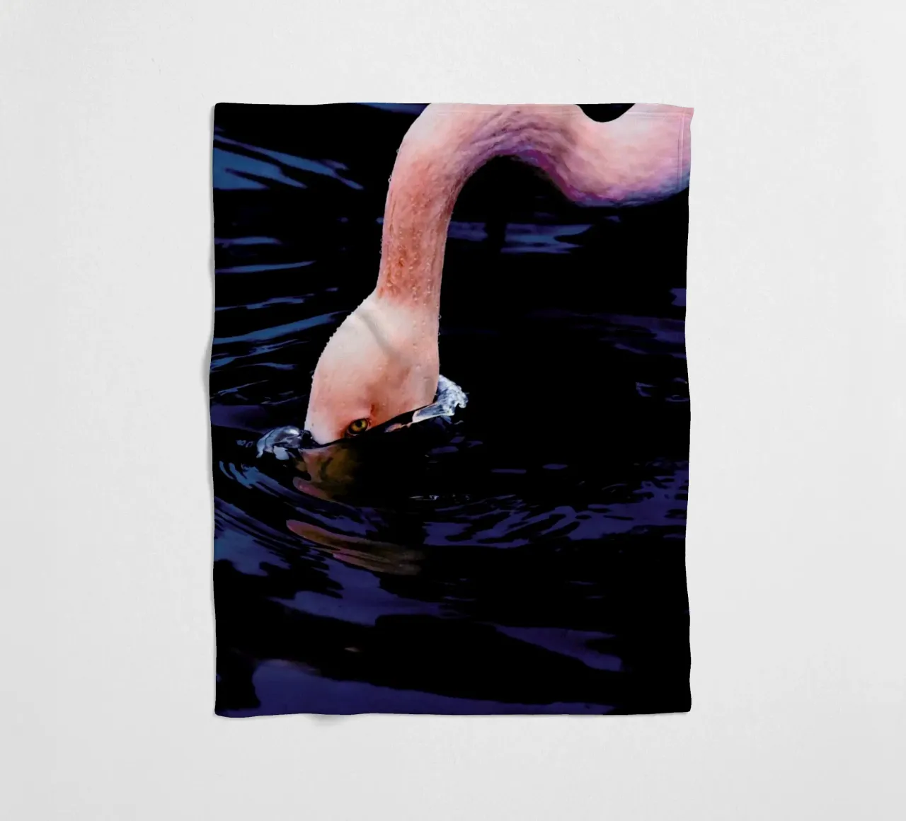 Taking The Plunge @happyfox_photos coperta in pile da EyeEm Mobile GmbH
