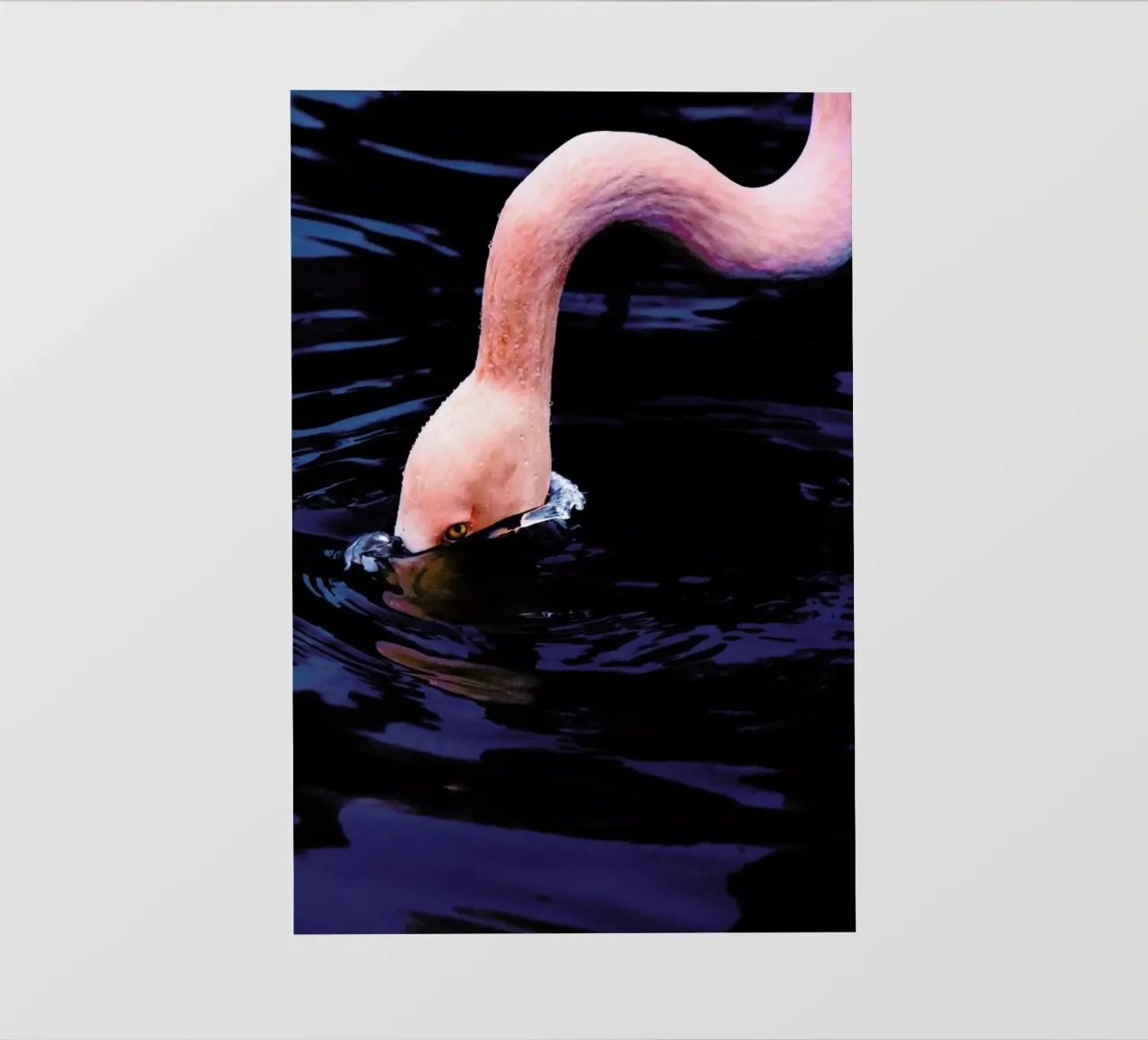 Taking The Plunge @happyfox_photos pellicola backlit da EyeEm Mobile GmbH