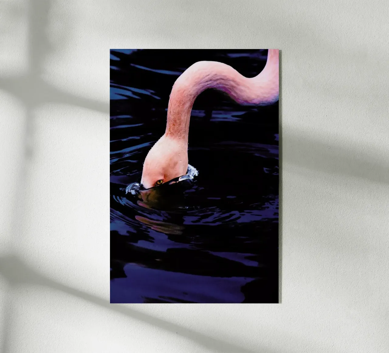 Taking The Plunge @happyfox_photos metacrilato de EyeEm Mobile GmbH