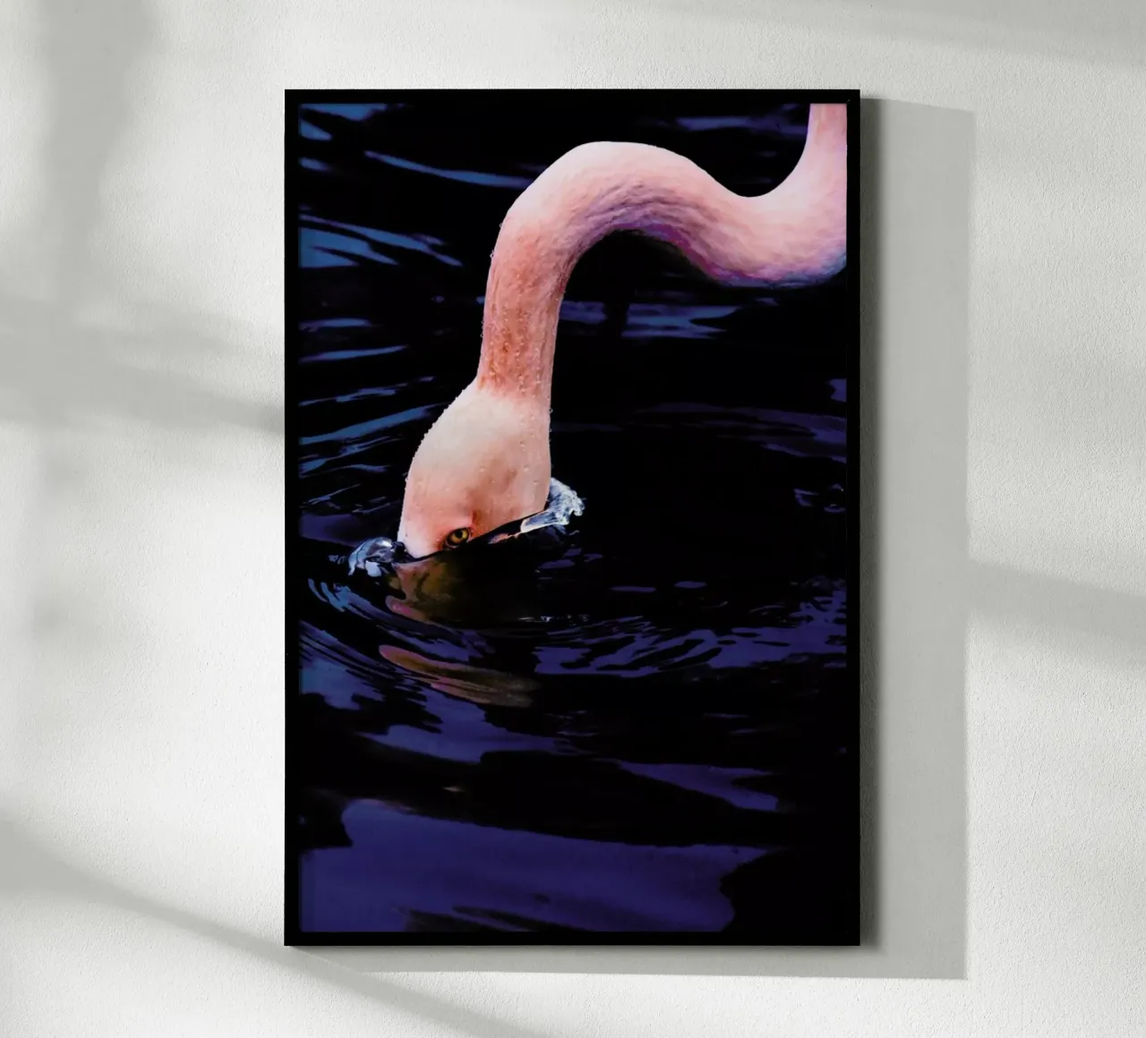 Taking The Plunge @happyfox_photos poster da EyeEm Mobile GmbH