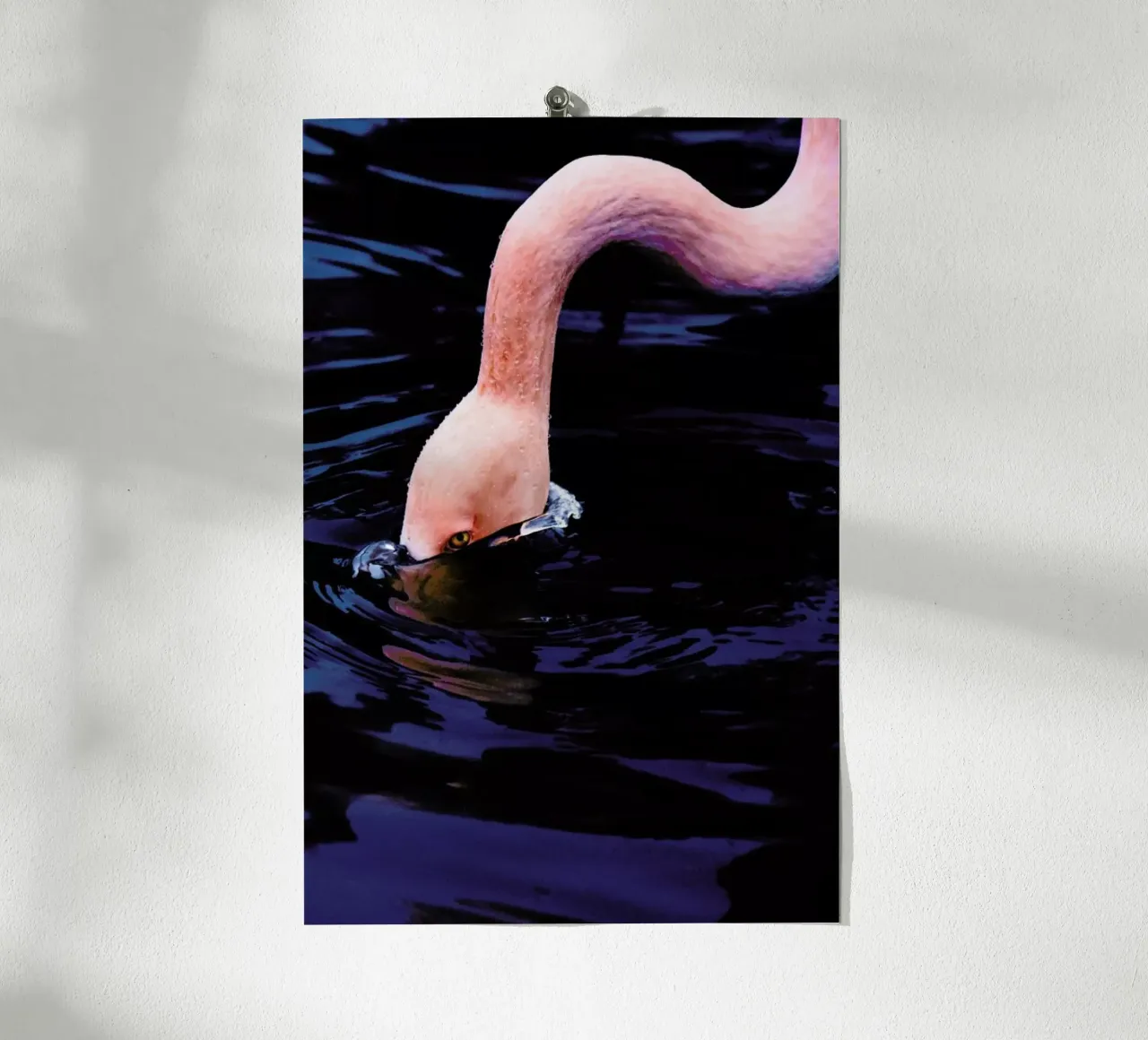 Taking The Plunge @happyfox_photos poster da EyeEm Mobile GmbH