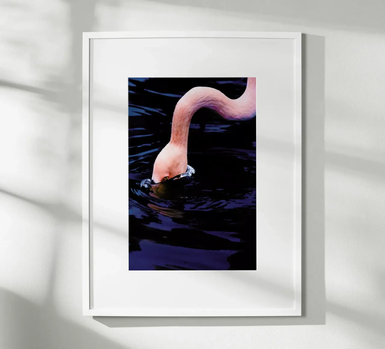 Taking The Plunge @happyfox_photos poster da EyeEm Mobile GmbH