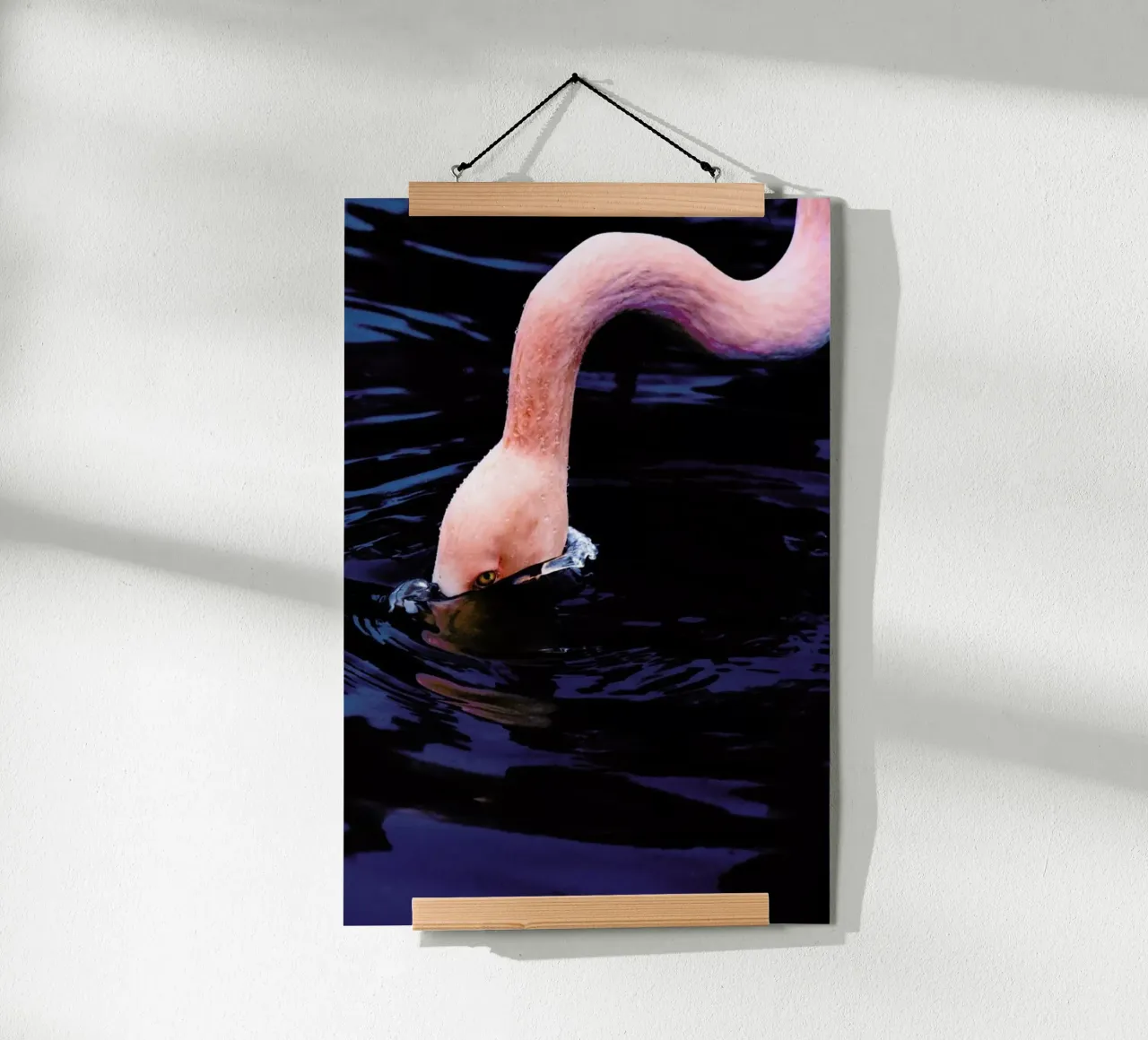 Taking The Plunge @happyfox_photos poster da EyeEm Mobile GmbH