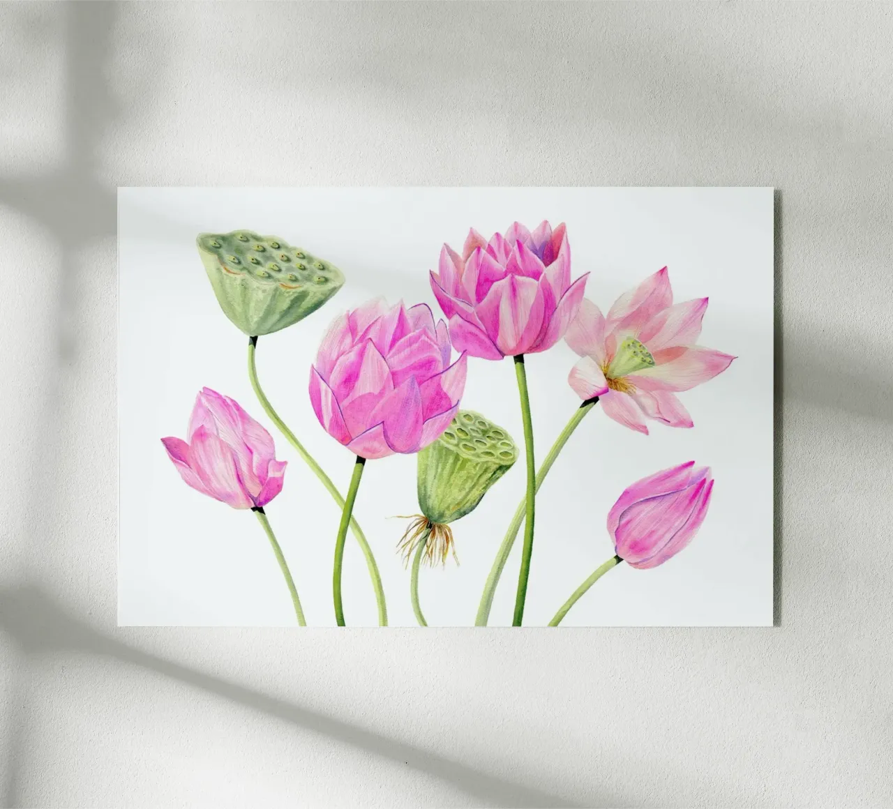 Lotusblüten plexiglass da youdesignme