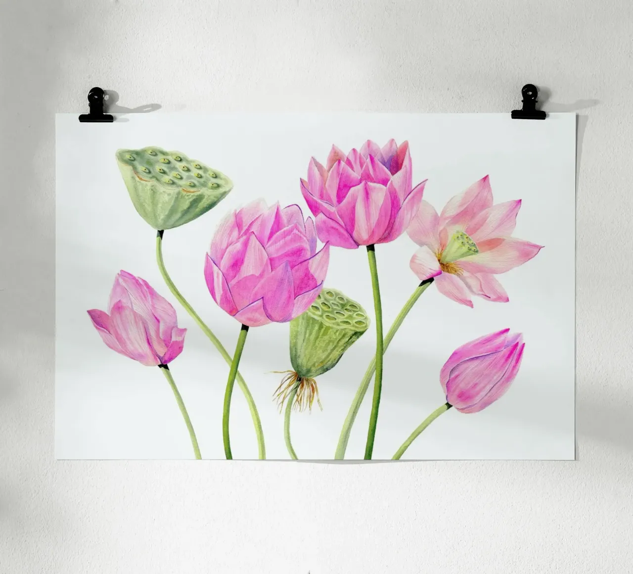 Lotusblüten carta hahnemühle da youdesignme