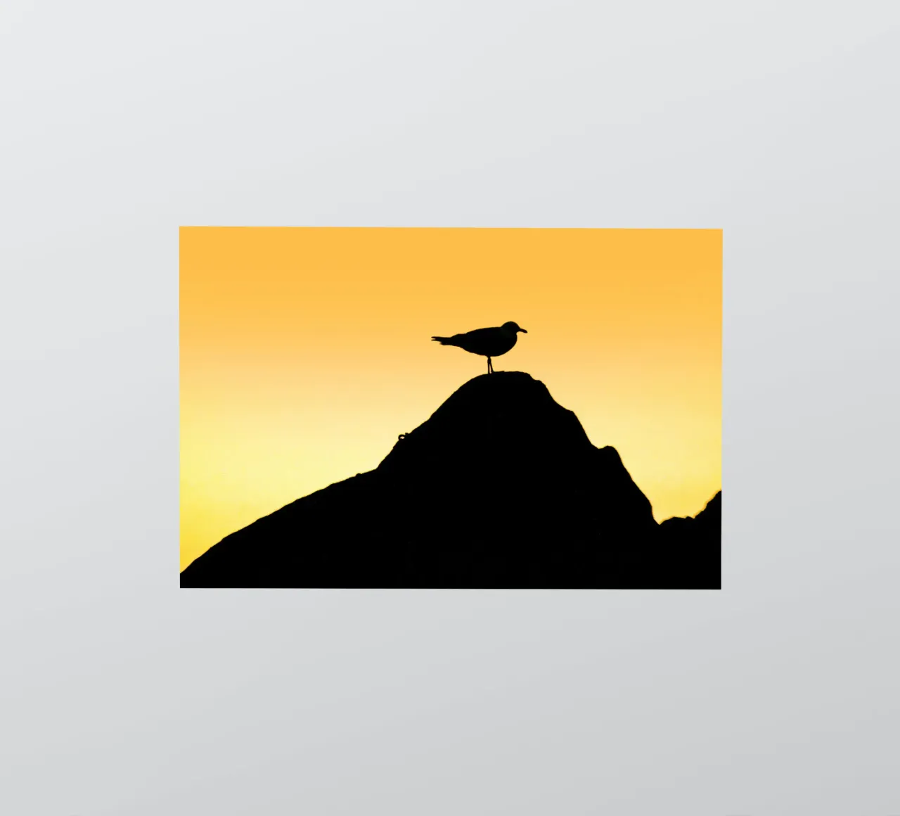 FAA314 sticker by Thierry vobmann photography