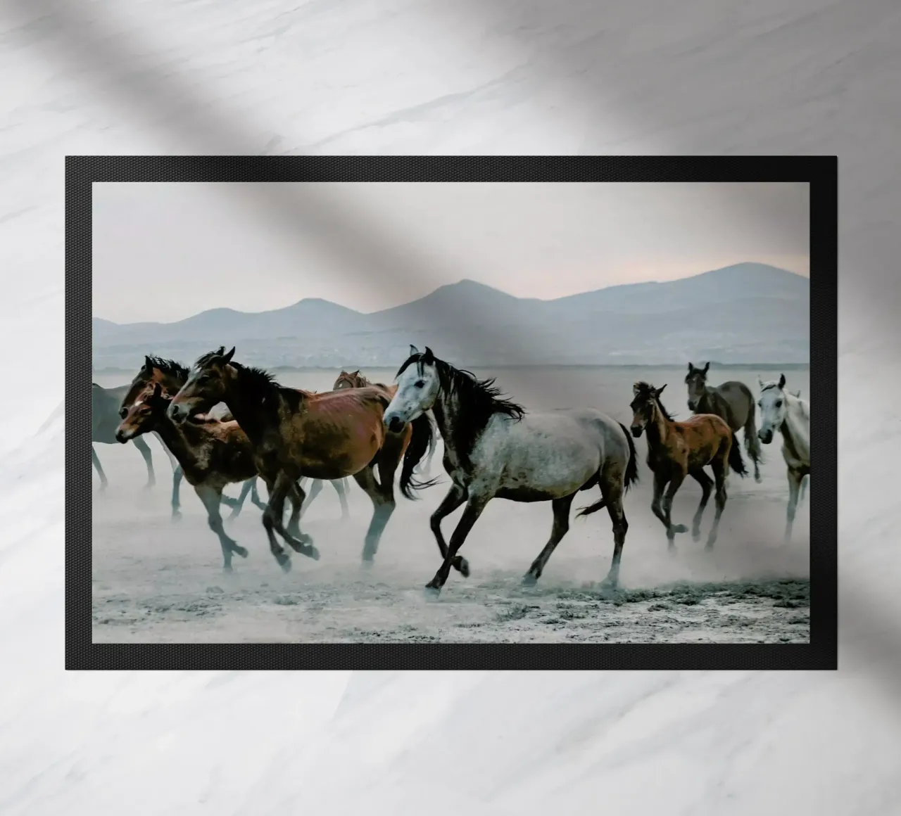 Charging On zerbino da Natural Kingdom