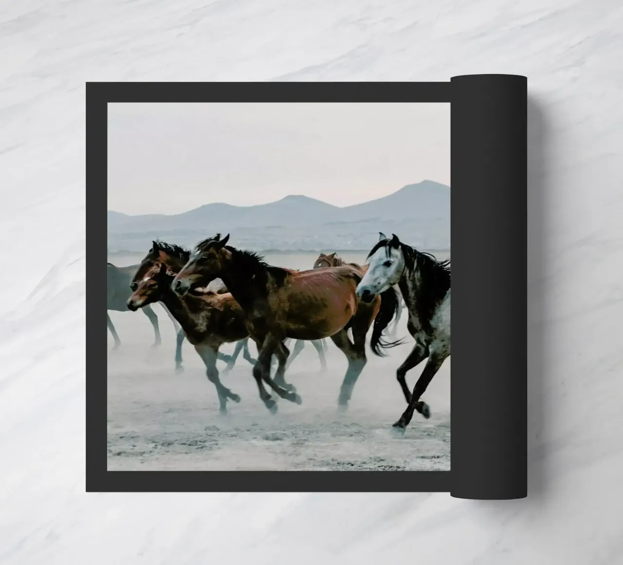 Charging On zerbino da Natural Kingdom