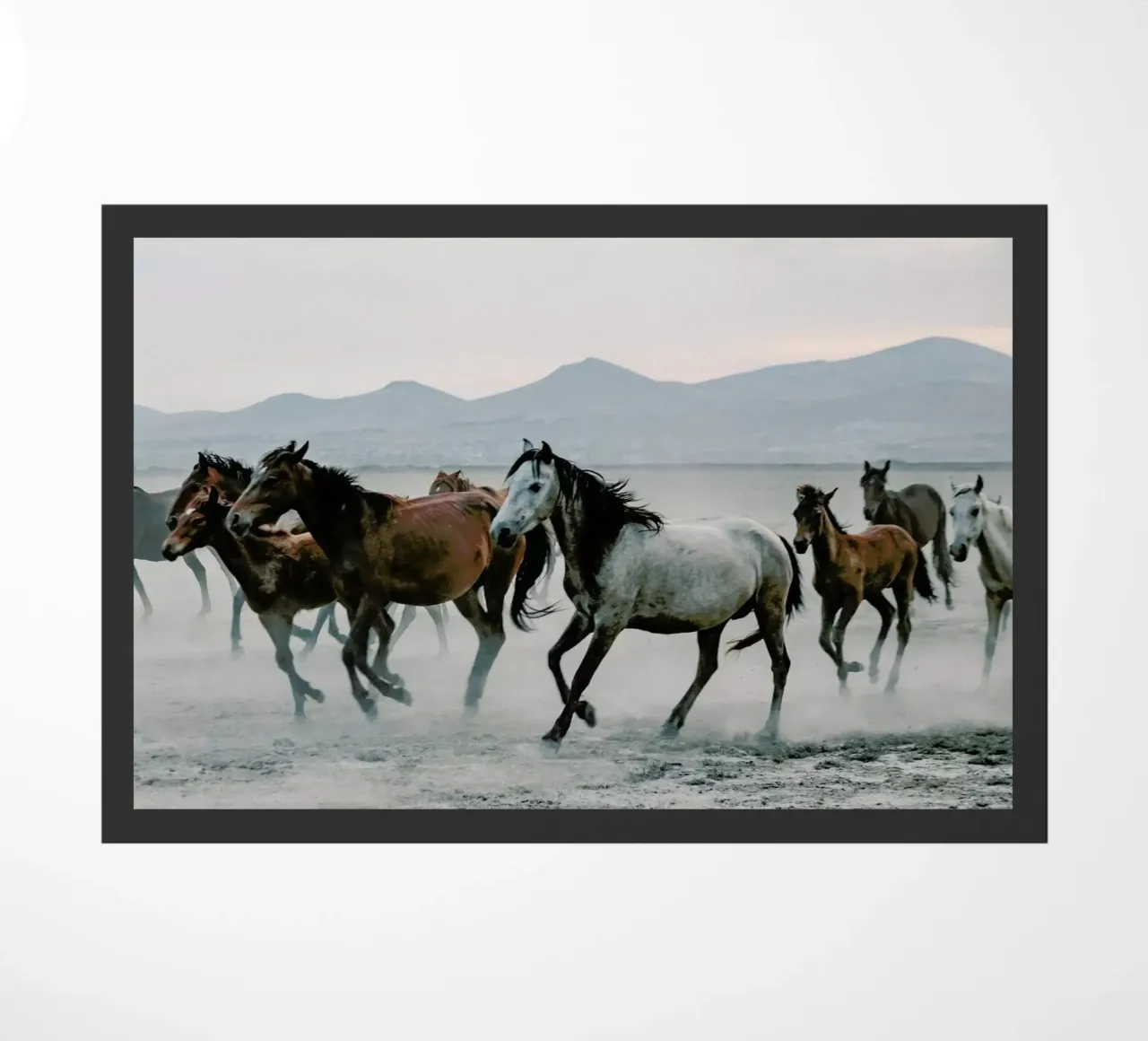 Charging On zerbino da Natural Kingdom