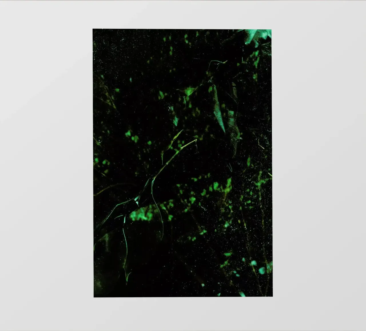 Abstract Greens pellicola backlit da Sebastian Hilgetag