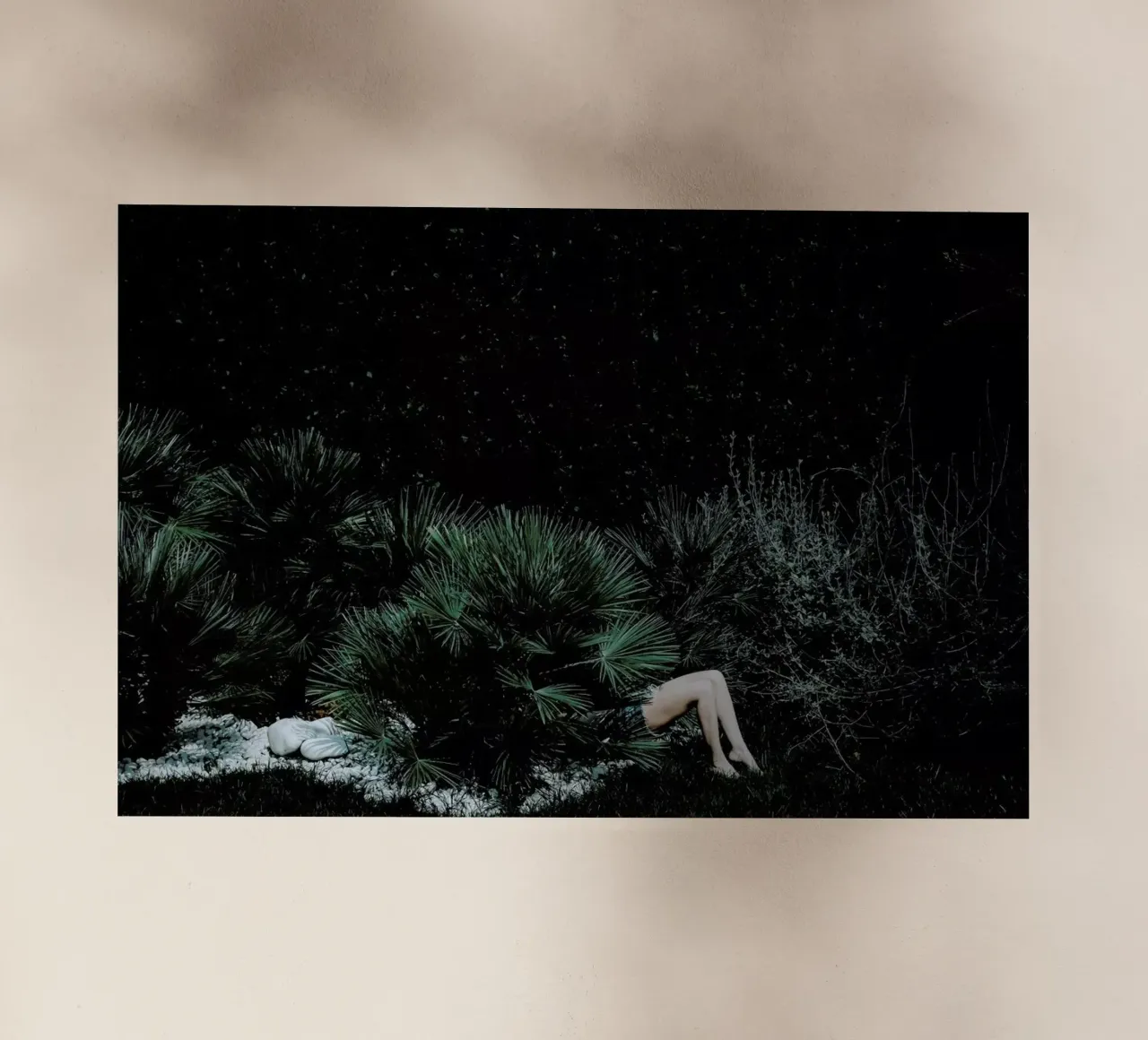 Reconnecting To Nature @FrancescoSambati pellicola backlit da EyeEm Mobile GmbH