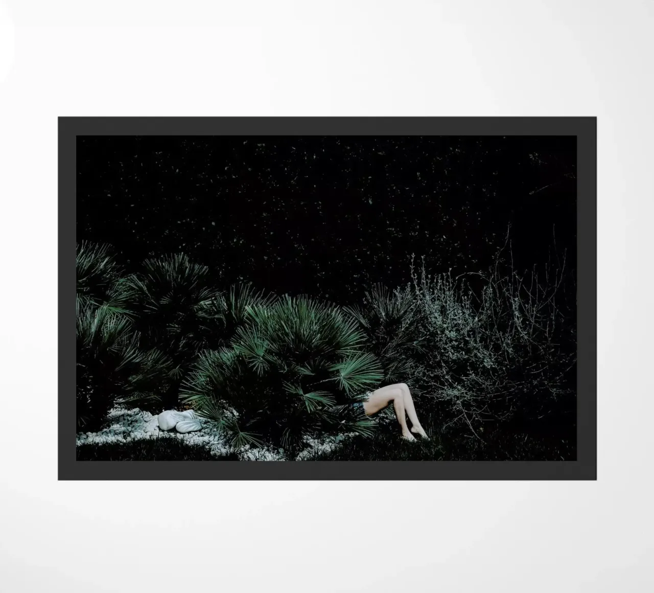 Reconnecting To Nature @FrancescoSambati zerbino da EyeEm Mobile GmbH