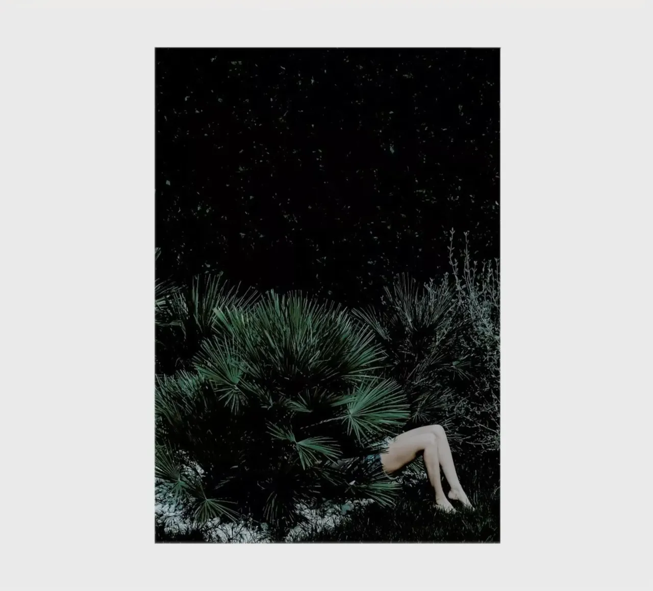 Reconnecting To Nature @FrancescoSambati diario da EyeEm Mobile GmbH