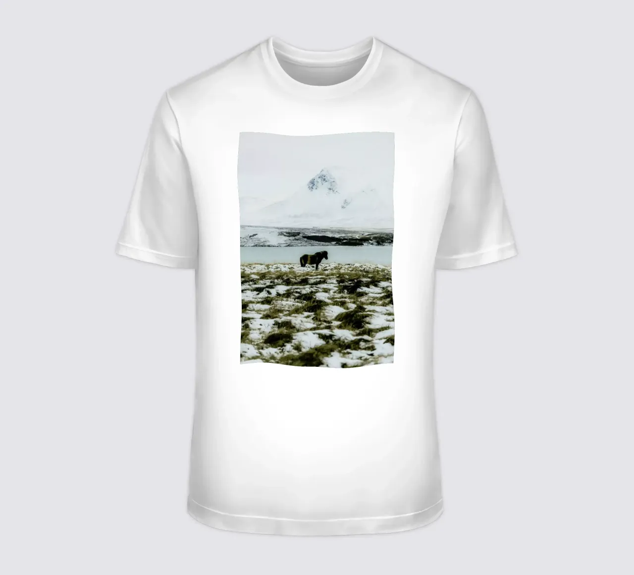 Born For The Cold t-shirt da Natural Kingdom