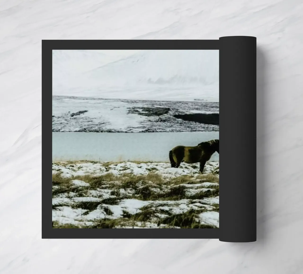 Born For The Cold zerbino da Natural Kingdom