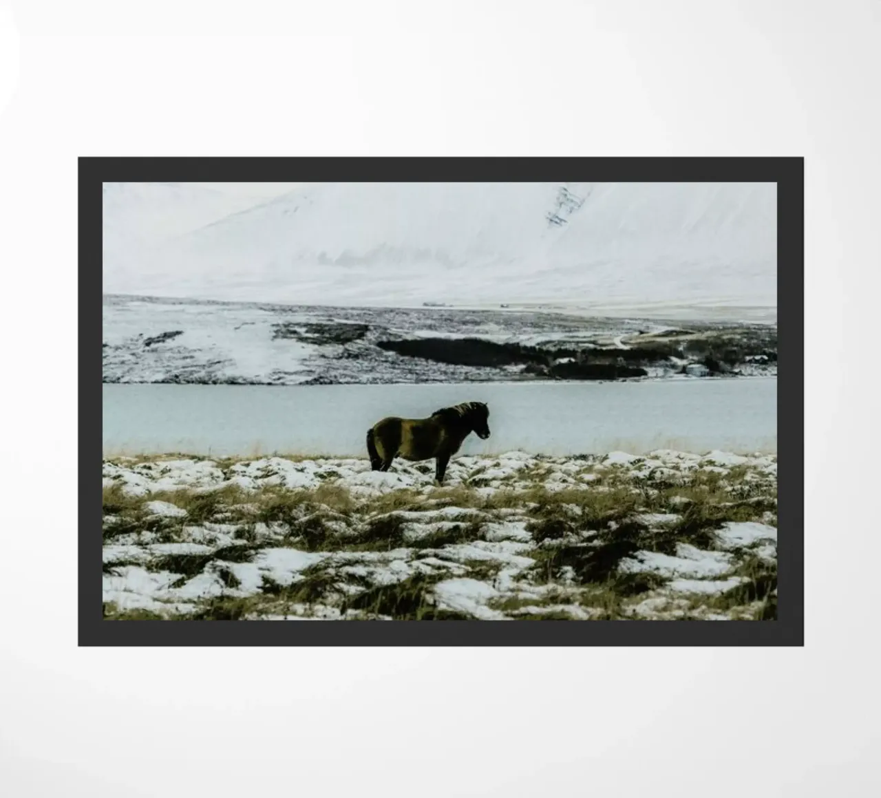Born For The Cold zerbino da Natural Kingdom