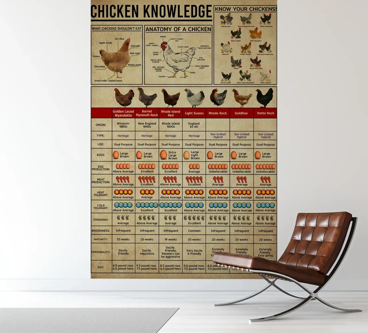 Poster sulla conoscenza dei polli carta da parati fotografica da Maritiknowled