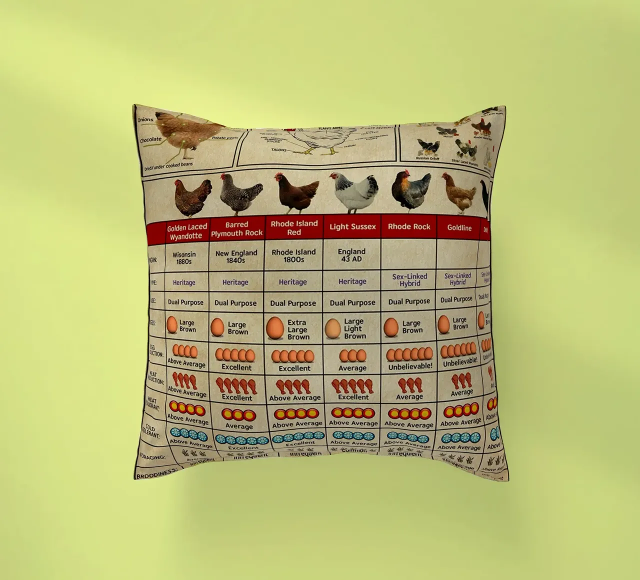 Poster sulla conoscenza dei polli cuscino da Maritiknowled