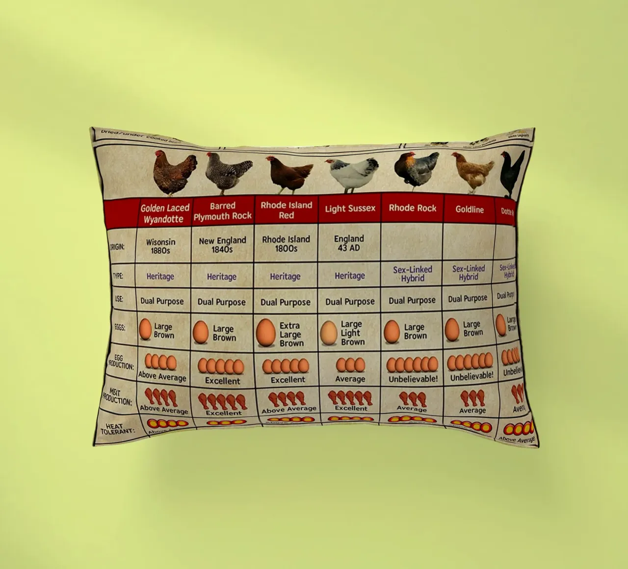 Poster sulla conoscenza dei polli cuscino da Maritiknowled