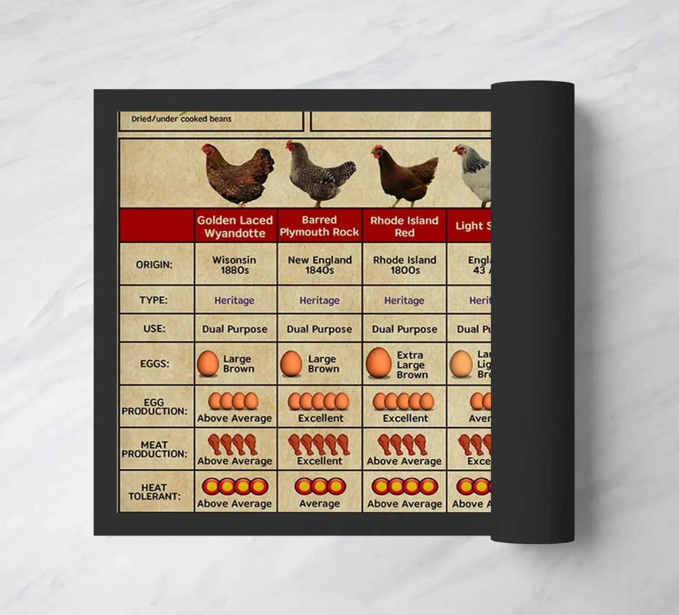Chicken Knowledge Poster doormat by Maritiknowled