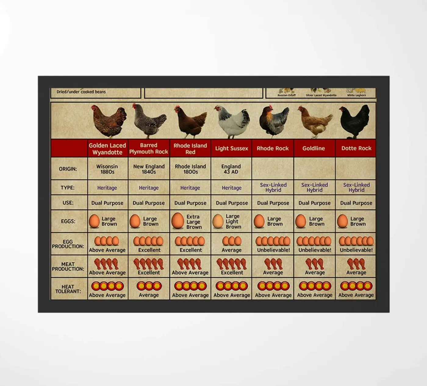Chicken Knowledge Poster doormat by Maritiknowled