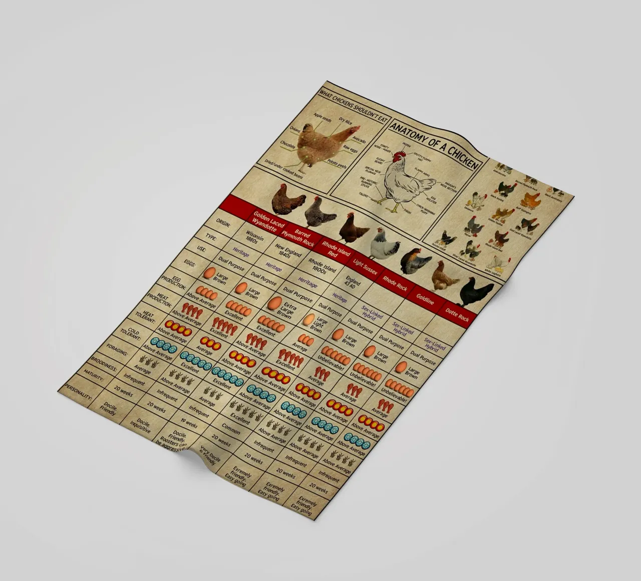 Poster sulla conoscenza dei polli telo mare da Maritiknowled