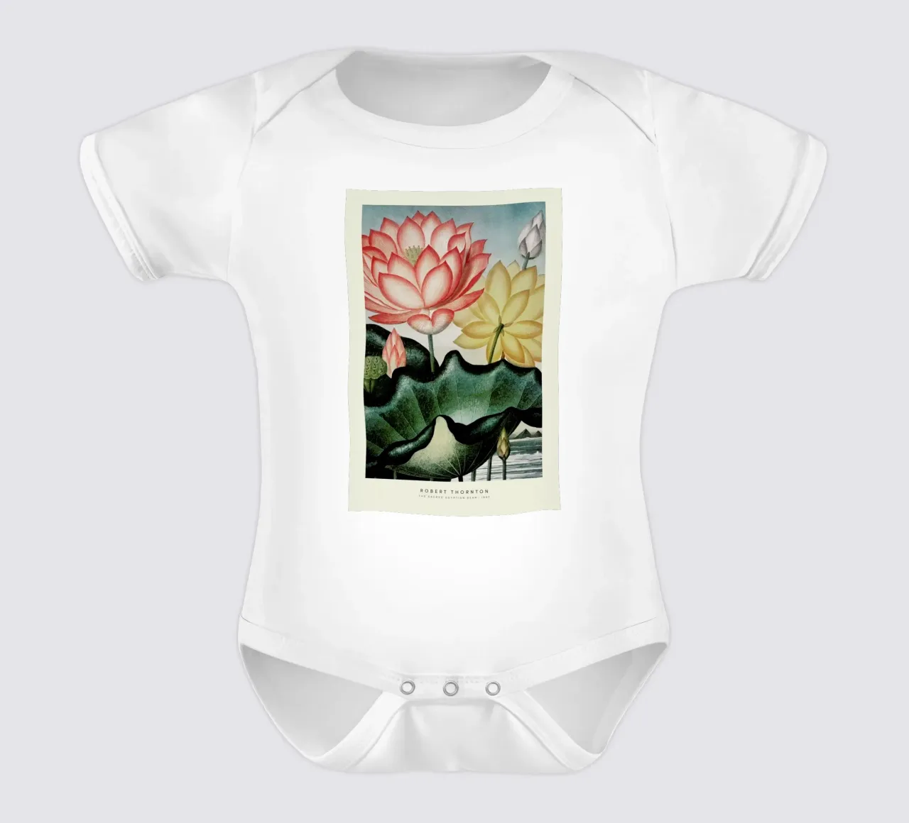 Thornton - The Sacred Egyptian Bean body neonato maniche corte da Vintage by JUNIQE