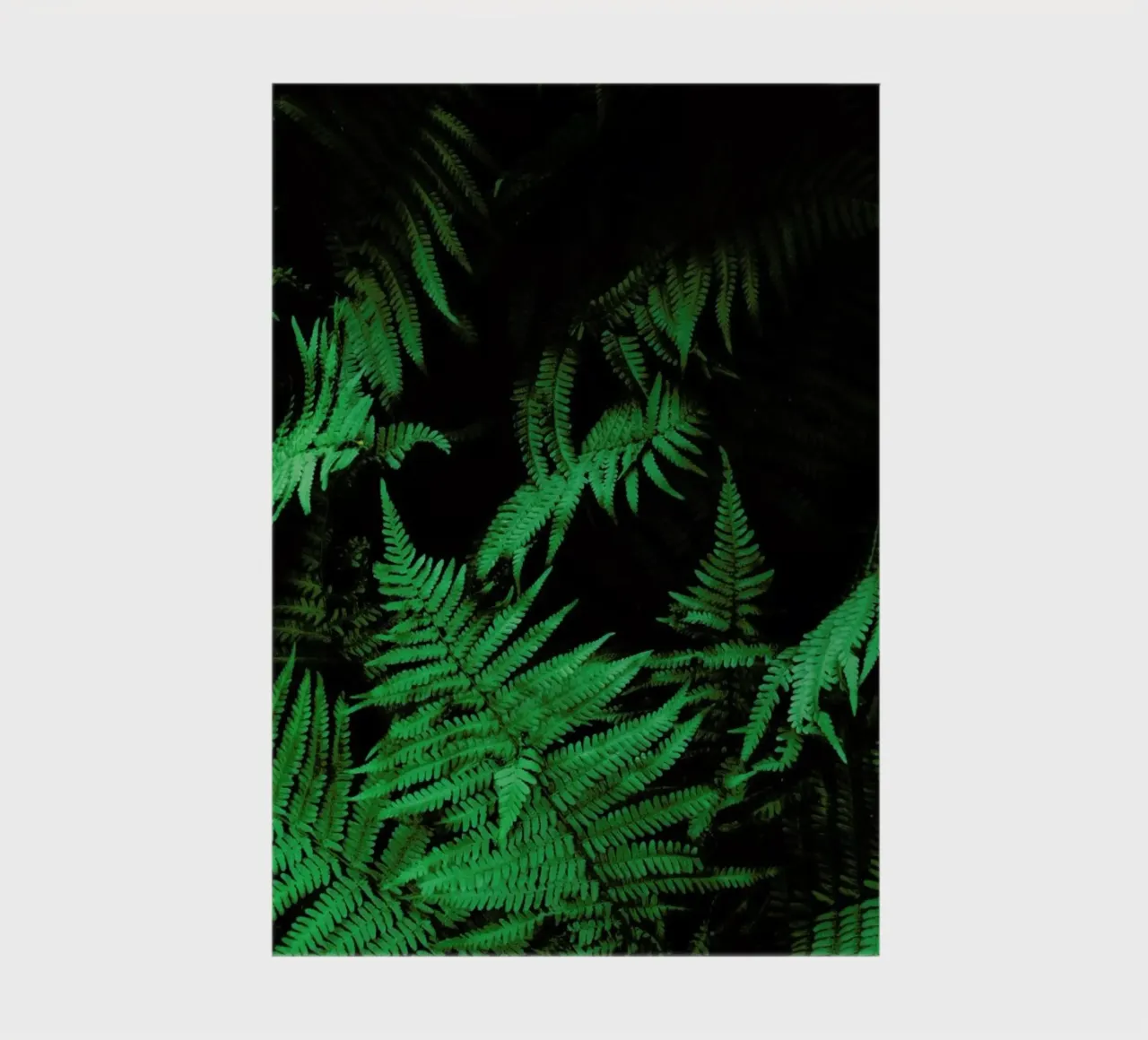 Farns 2 diario da Sebastian Hilgetag