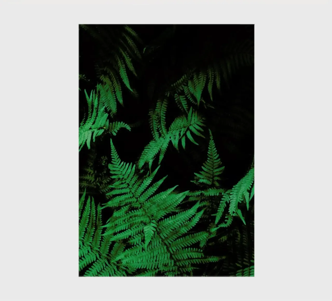 Farns 2 diario da Sebastian Hilgetag