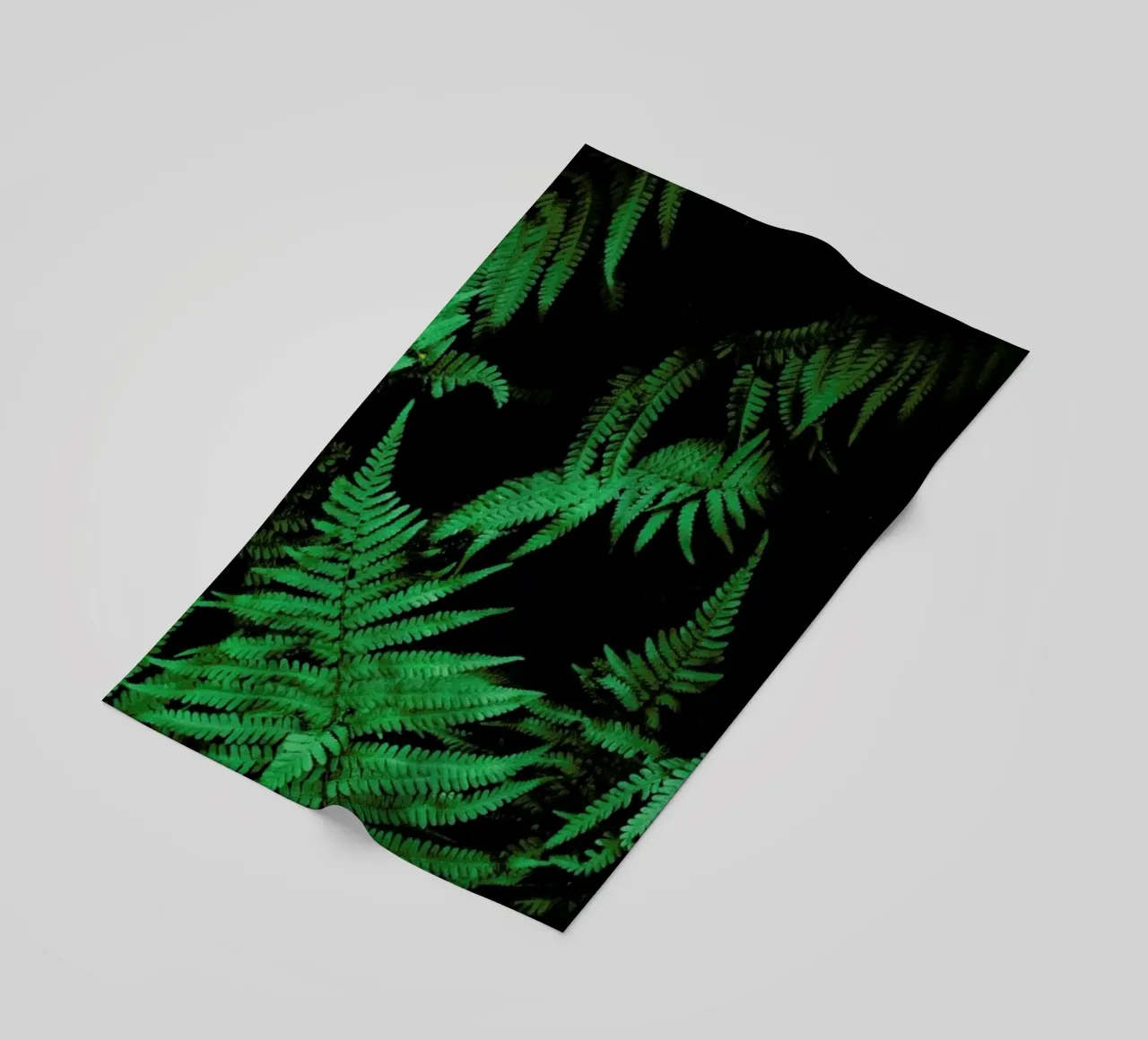 Farns 2 telo mare da Sebastian Hilgetag