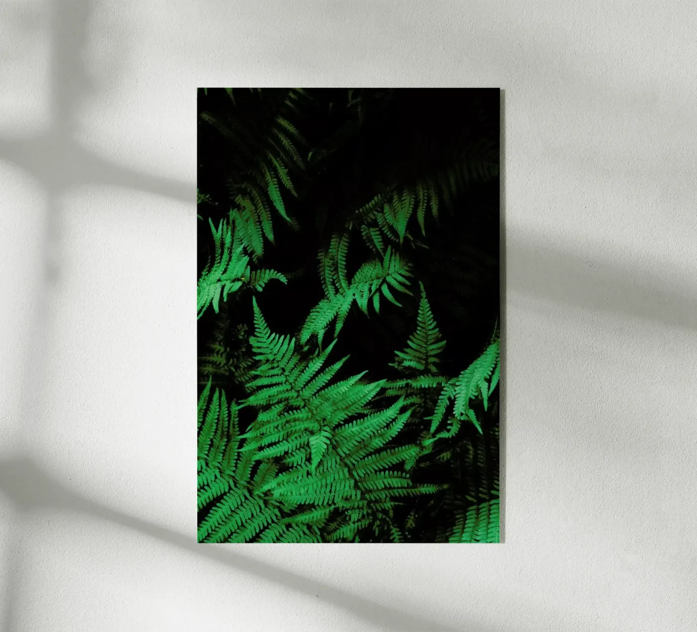 Farns 2 plexiglas de Sebastian Hilgetag