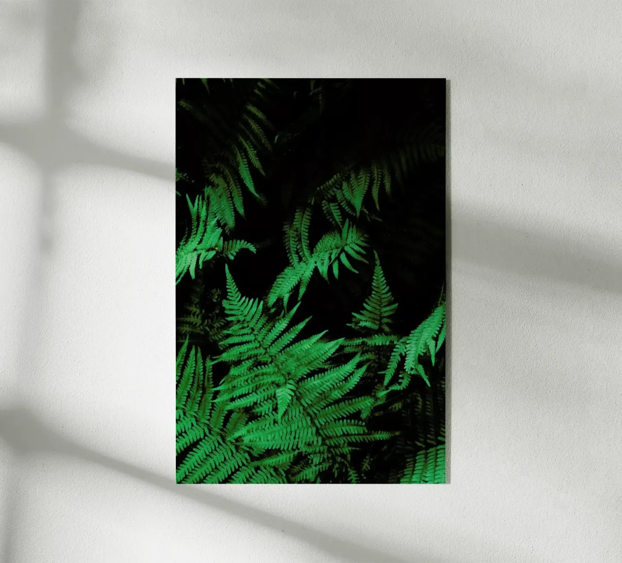 Farns 2 plexiglass da Sebastian Hilgetag