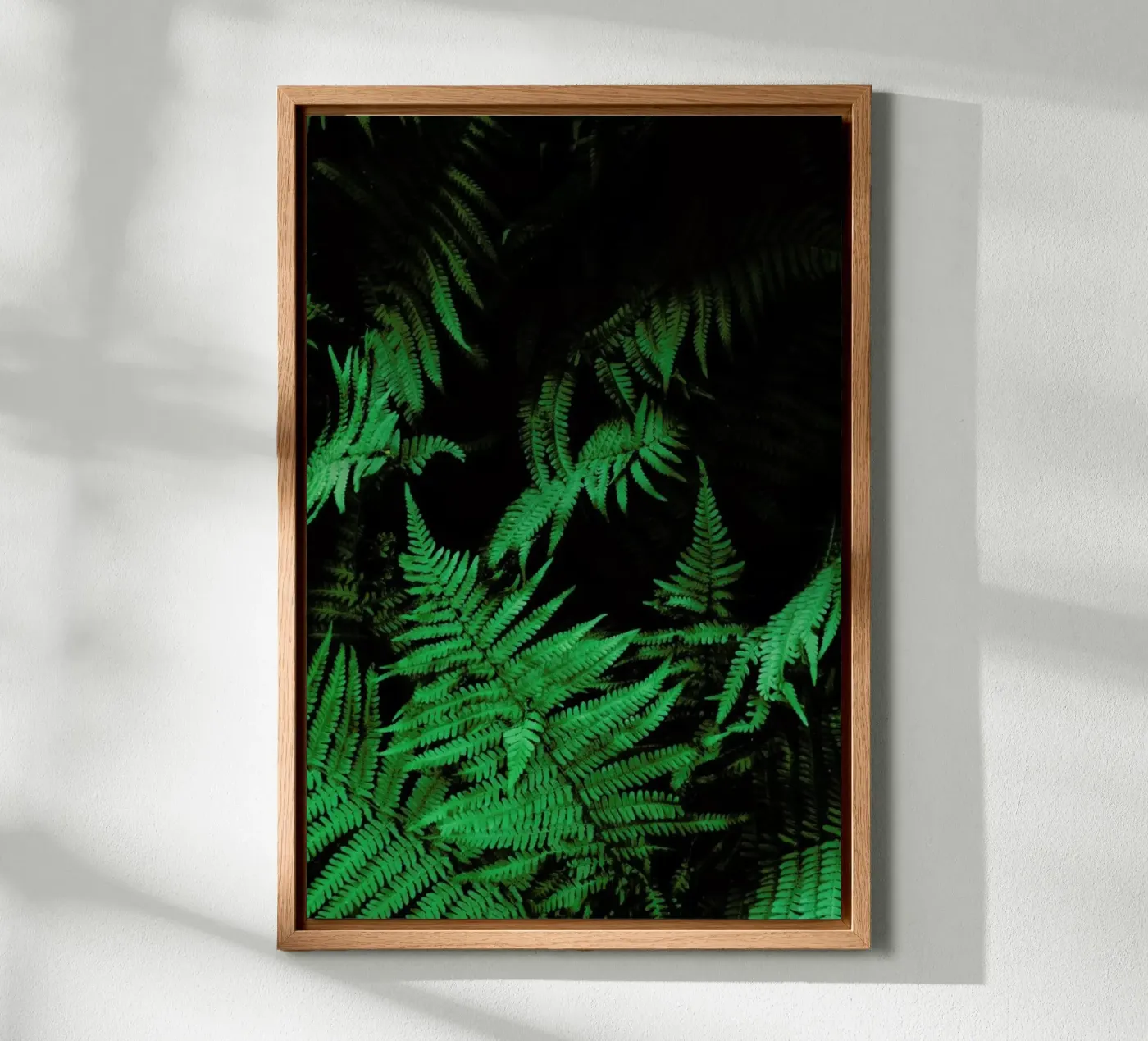 Farns 2 forex plate by Sebastian Hilgetag