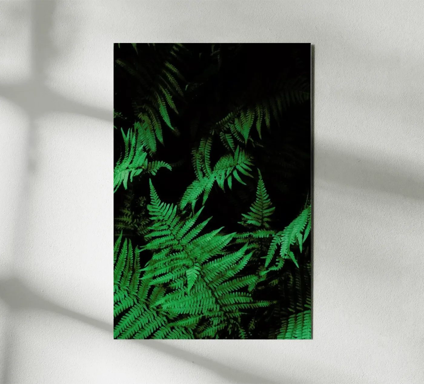 Farns 2 forex plate by Sebastian Hilgetag