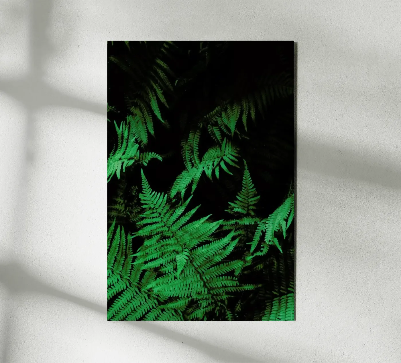 Farns 2 forex plate by Sebastian Hilgetag