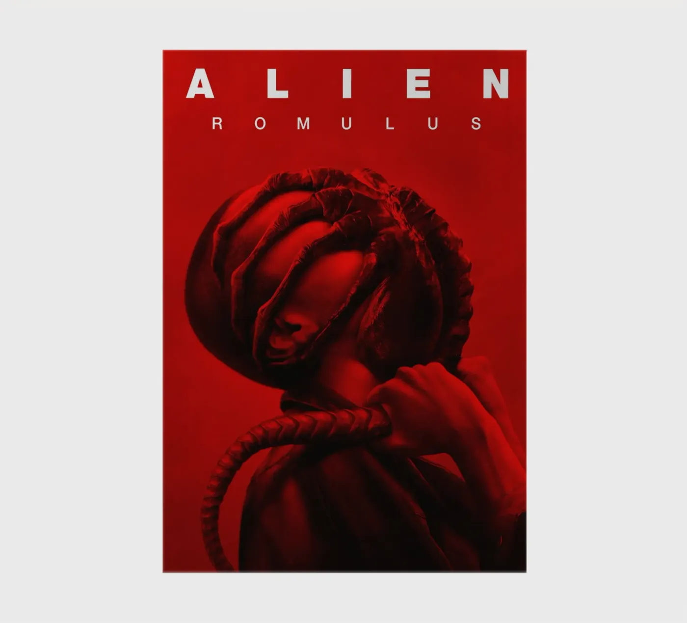 Alien Romulus quaderno da Junkie Movie 2