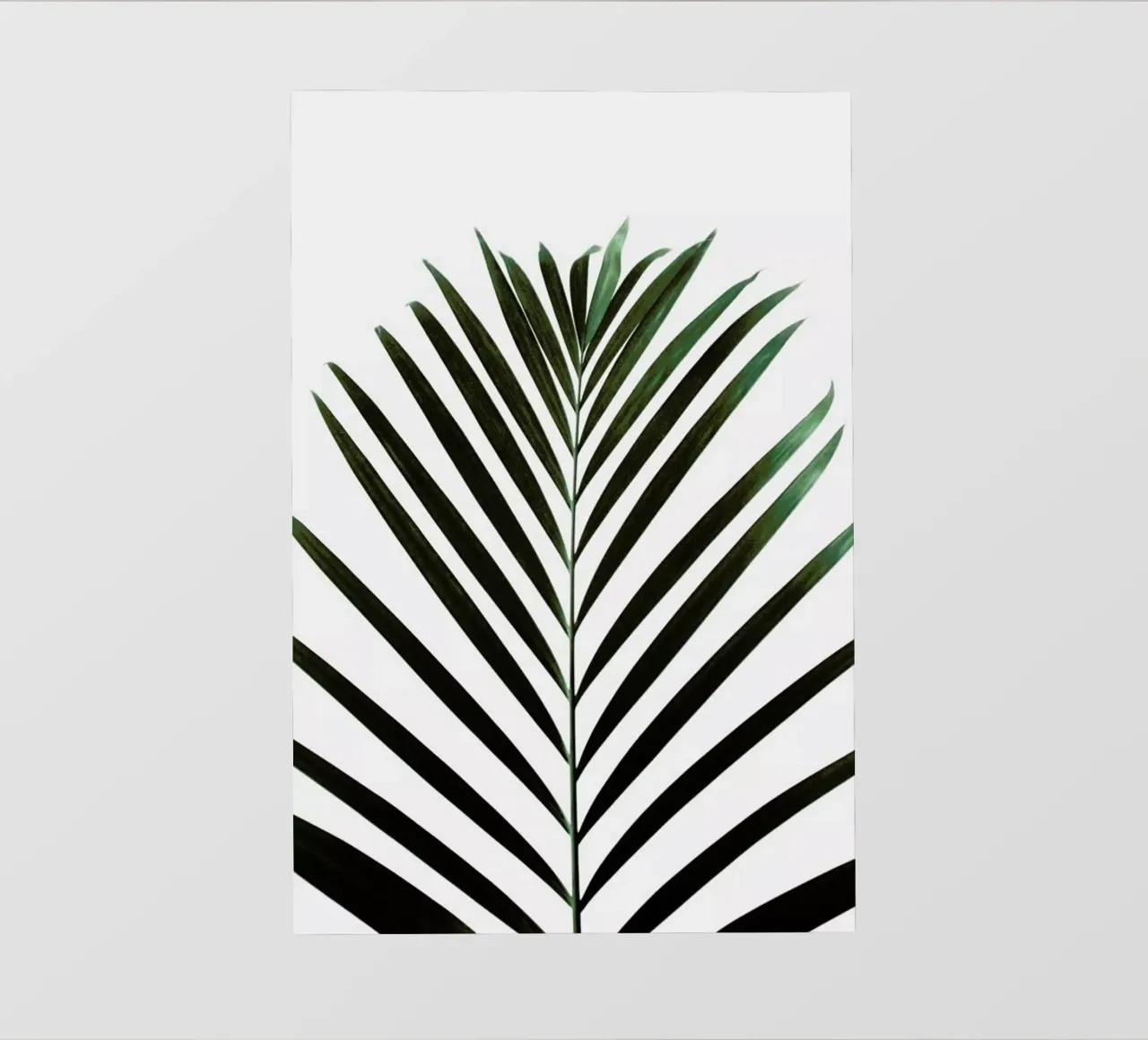 Minimal Palm Leaf telo in pvc da Studio Nahili