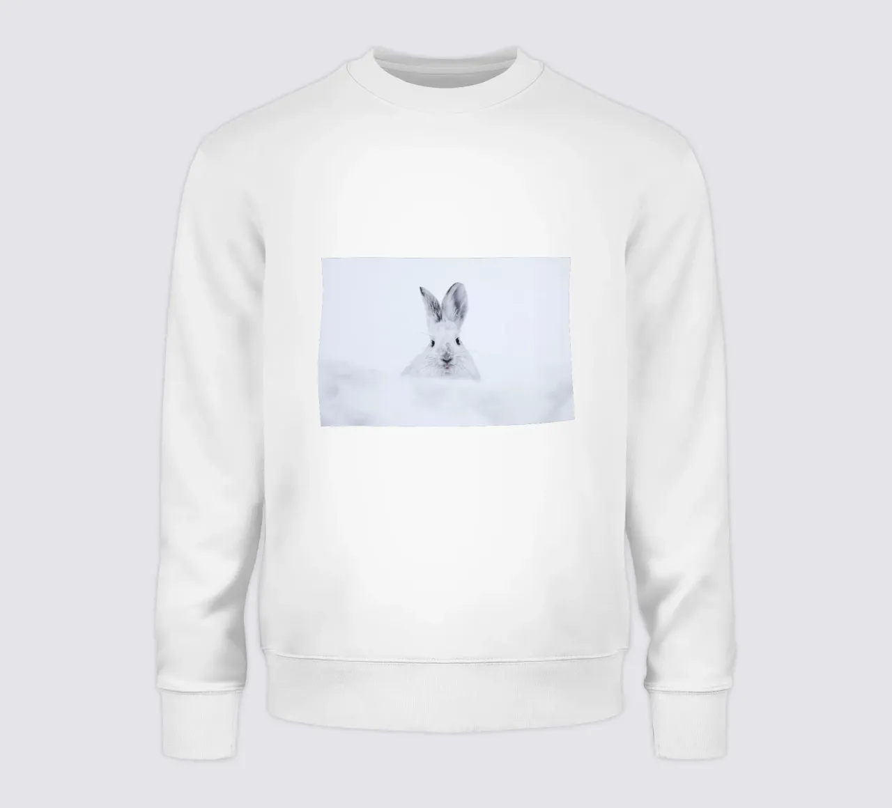 Rabbit in the Snow felpa da EyeEm Mobile GmbH